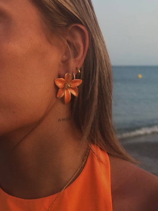 Boucles d'oreilles Luna