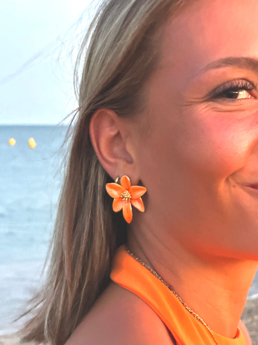 Boucles d'oreilles Luna